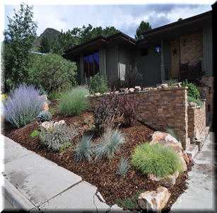 Low Maintenance Gardens